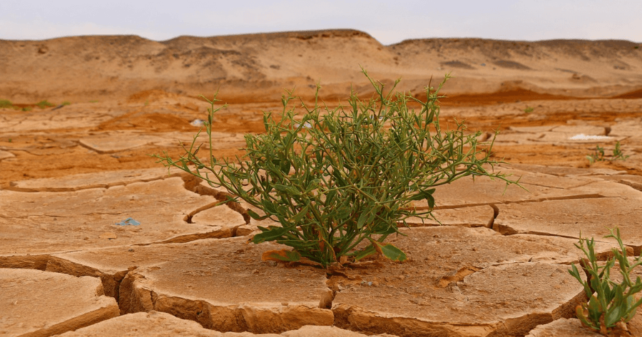 klíma reziliencia útmutató