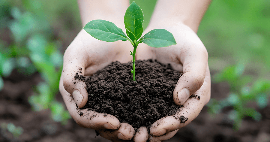 talajvédelem lehetőségei